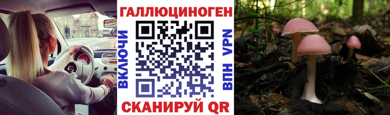 Галлюциногенные грибы GOLDEN TEACHER  маркетплейс наркотические препараты  Кемь  как найти закладки 